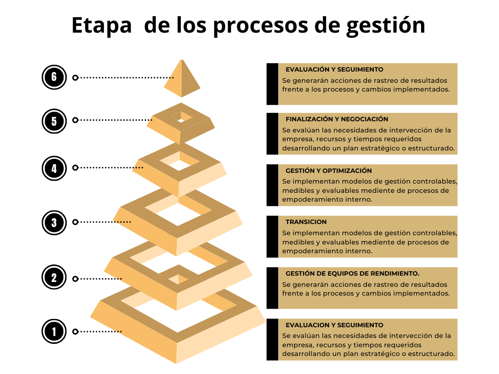 imagen etapas de los procesos