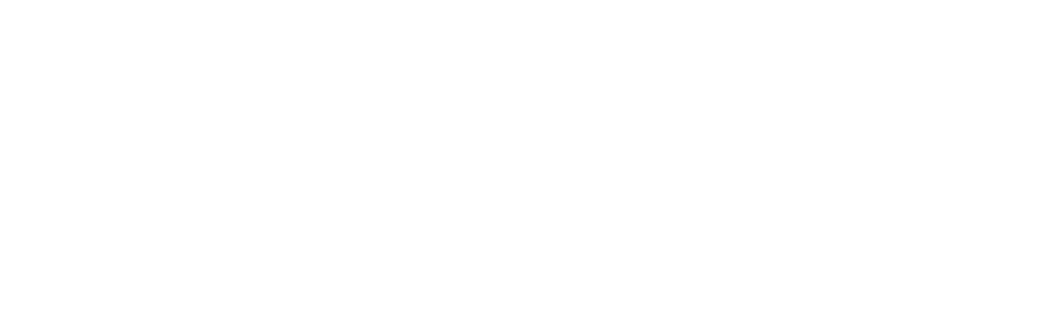 logo bolsos reno